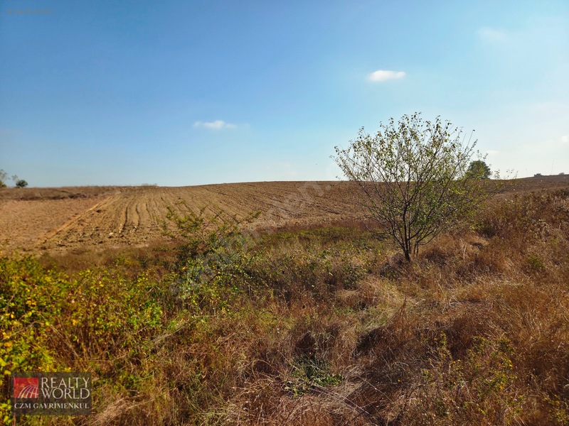 Burdur Merkez Erikli 6037m2 Yolu Açılmış Yatırımlık Satılık Arsa — fotoğraf 32