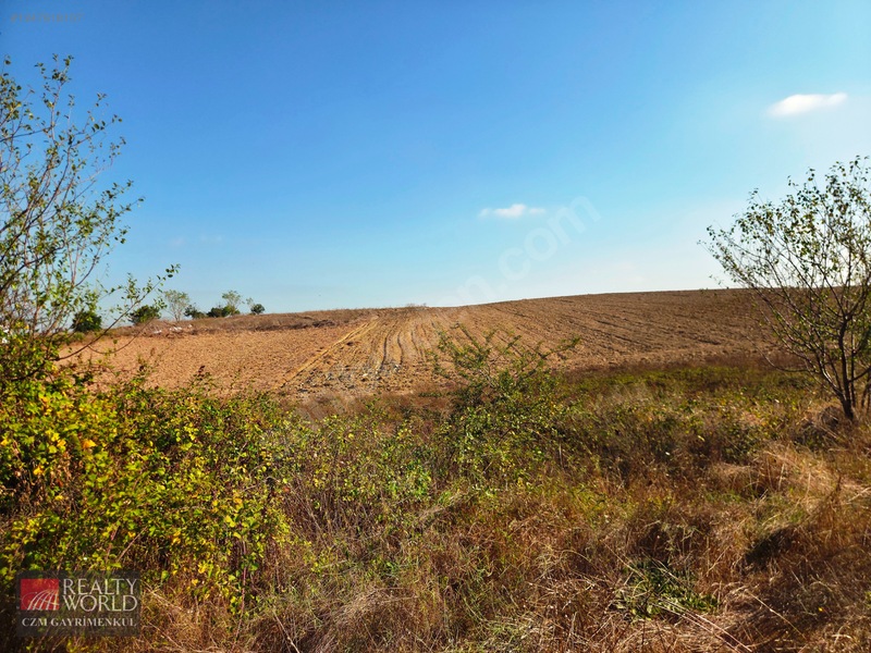Burdur Merkez Erikli 6037m2 Yolu Açılmış Yatırımlık Satılık Arsa — fotoğraf 33