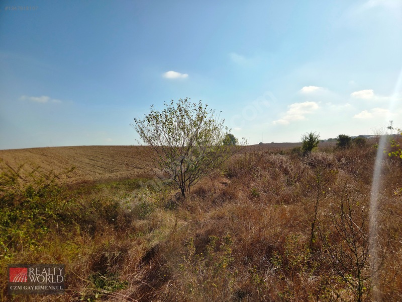 Burdur Merkez Erikli 6037m2 Yolu Açılmış Yatırımlık Satılık Arsa — fotoğraf 34