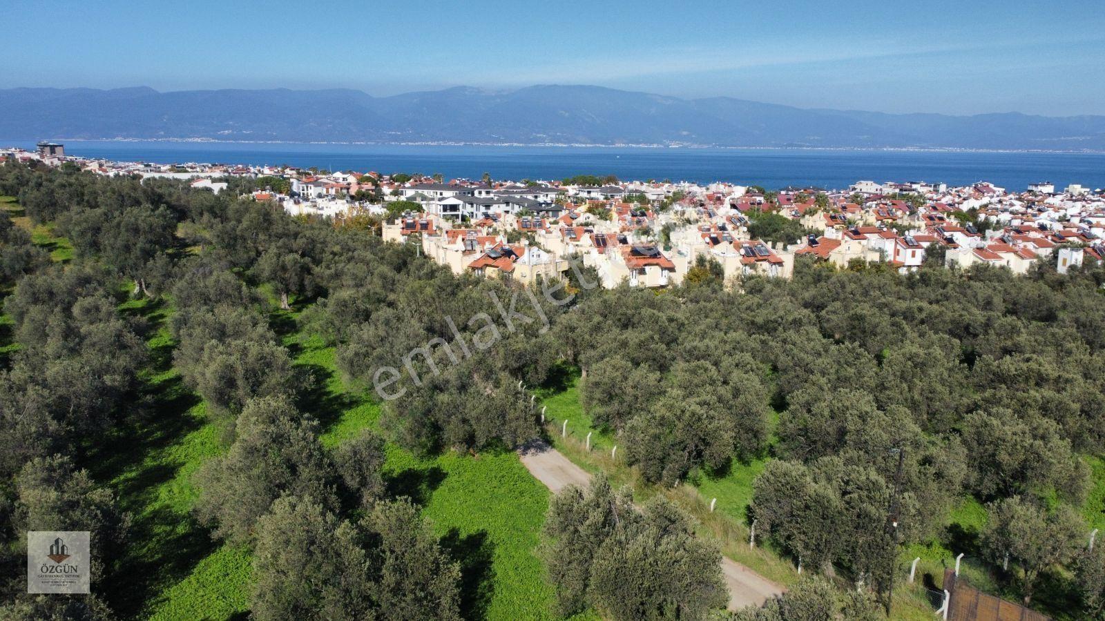 Pelitköy Sahilde Site Dibinde Asfalta Cepheli Ve İmar Yanında
