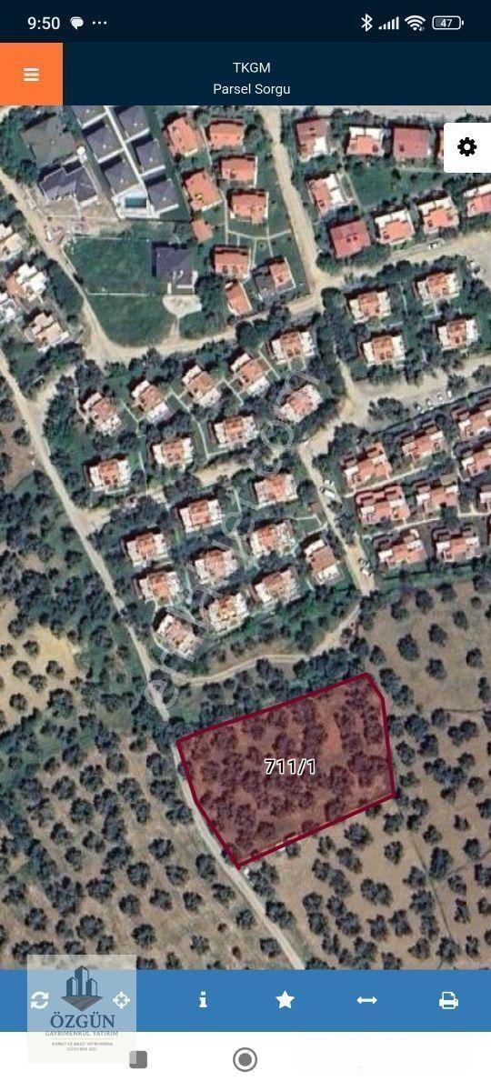 Pelitköy Sahilde Site Dibinde Asfalta Cepheli Ve İmar Yanında — fotoğraf 3