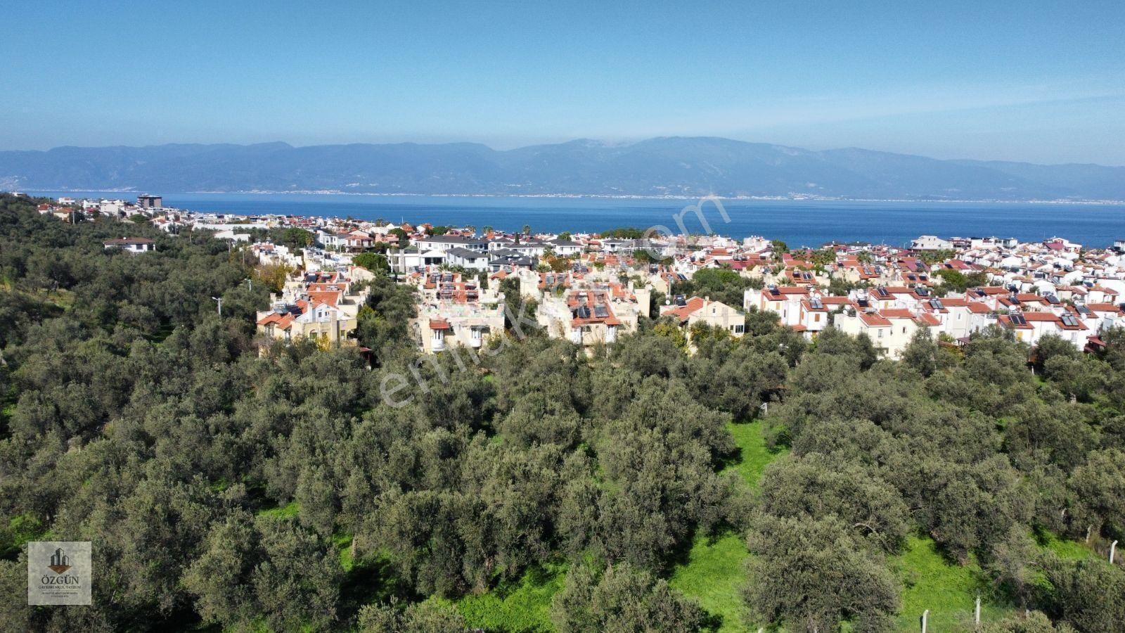 Pelitköy Sahilde Site Dibinde Asfalta Cepheli Ve İmar Yanında — fotoğraf 4