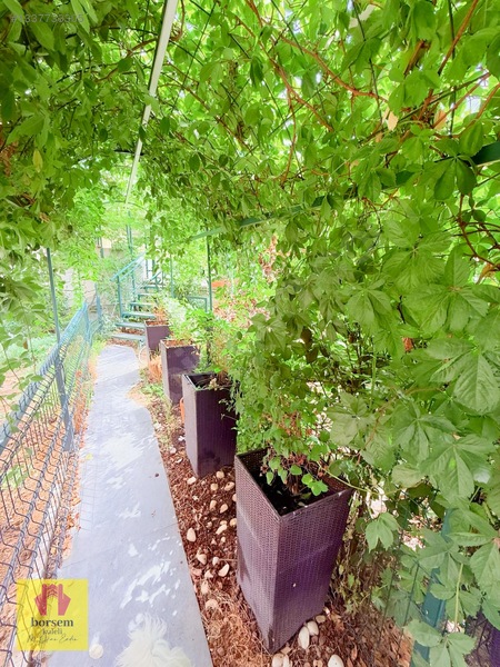 Çankaya Hilalde 1+1 Müstakil Girişli Bahçe& Verandalı Daire — fotoğraf 2
