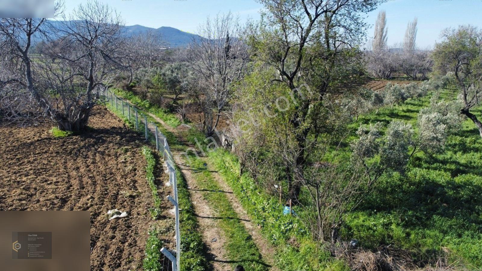 Özgünden.. Kızıklı Ve Dutluca Ovasında Yola Cepheli Tarla.. — fotoğraf 21