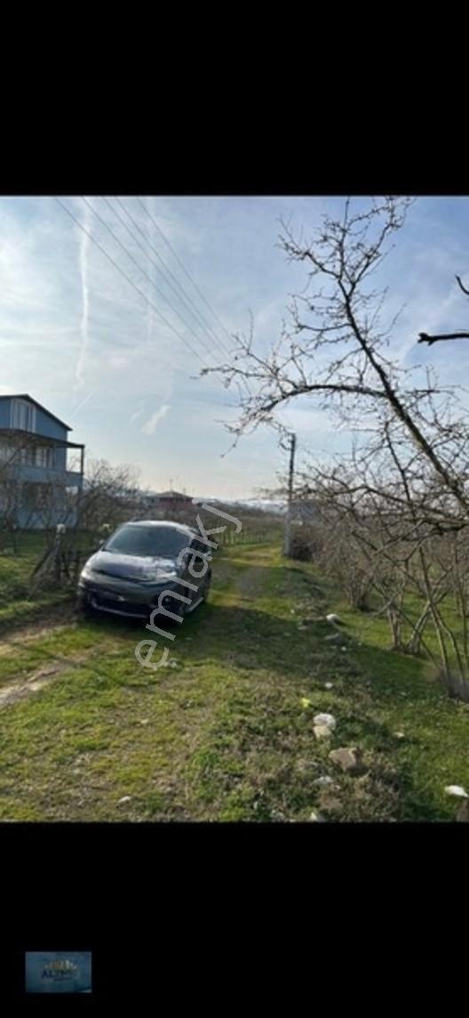 Elit Konum Müstakil Tapulu 510 Mt2 Arsa — fotoğraf 6