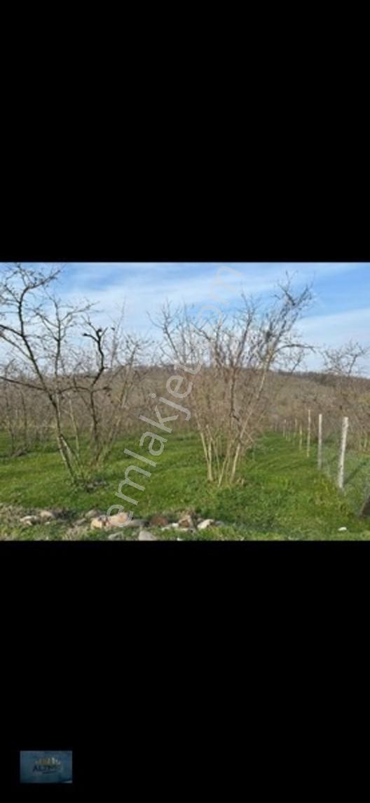 Elit Konum Müstakil Tapulu 510 Mt2 Arsa — fotoğraf 7
