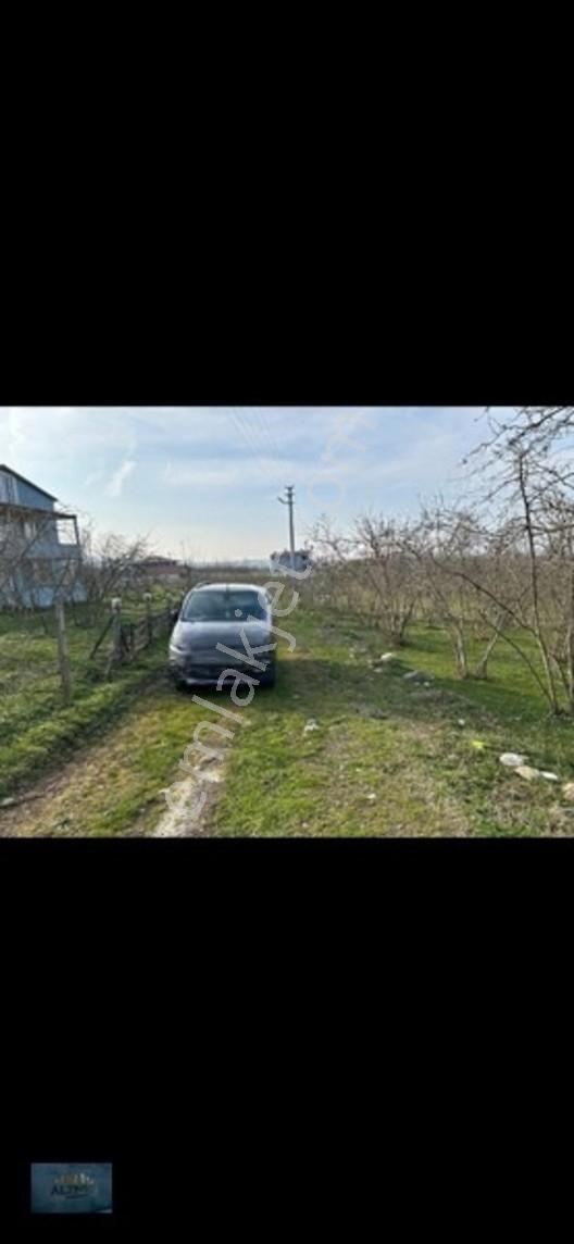 Elit Konum Müstakil Tapulu 510 Mt2 Arsa — fotoğraf 8