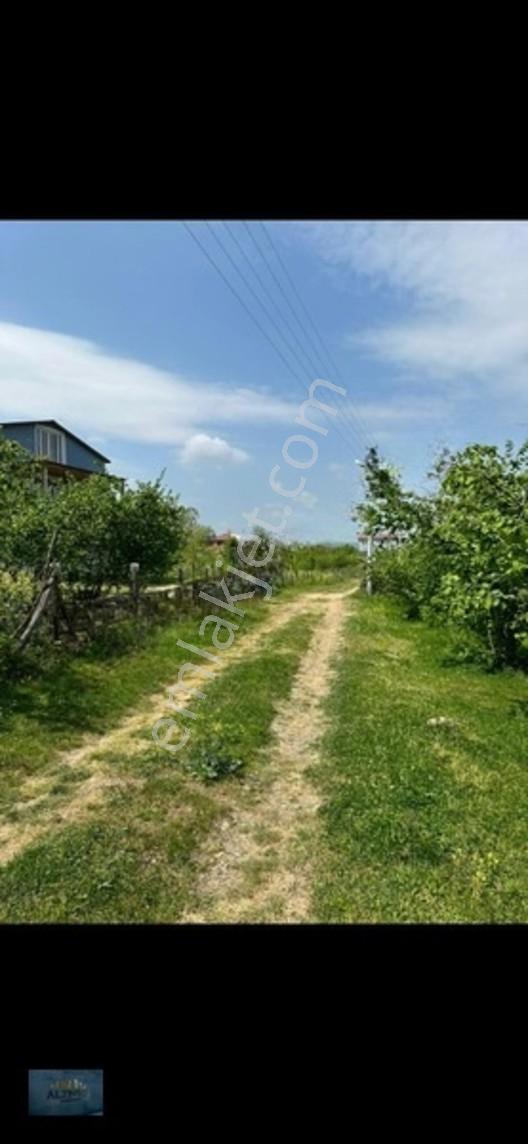 Elit Konum Müstakil Tapulu 510 Mt2 Arsa — fotoğraf 9