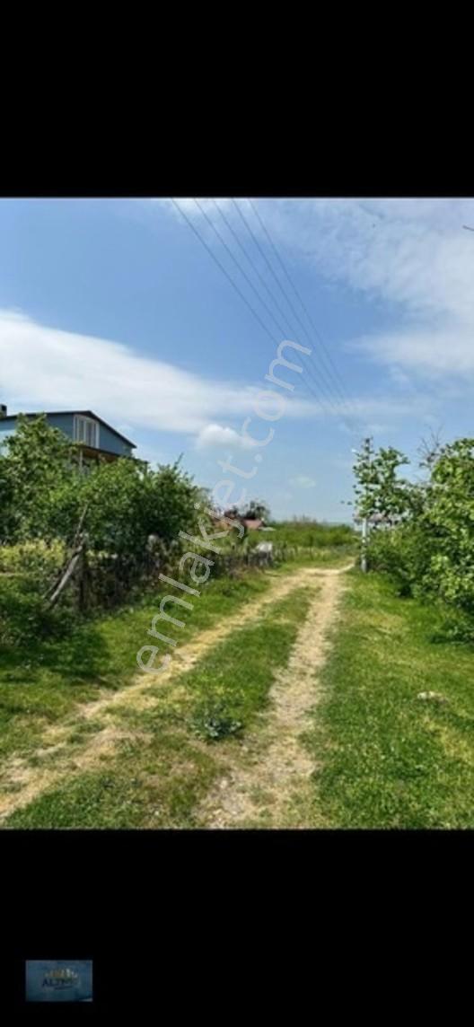 Elit Konum Müstakil Tapulu 510 Mt2 Arsa — fotoğraf 10