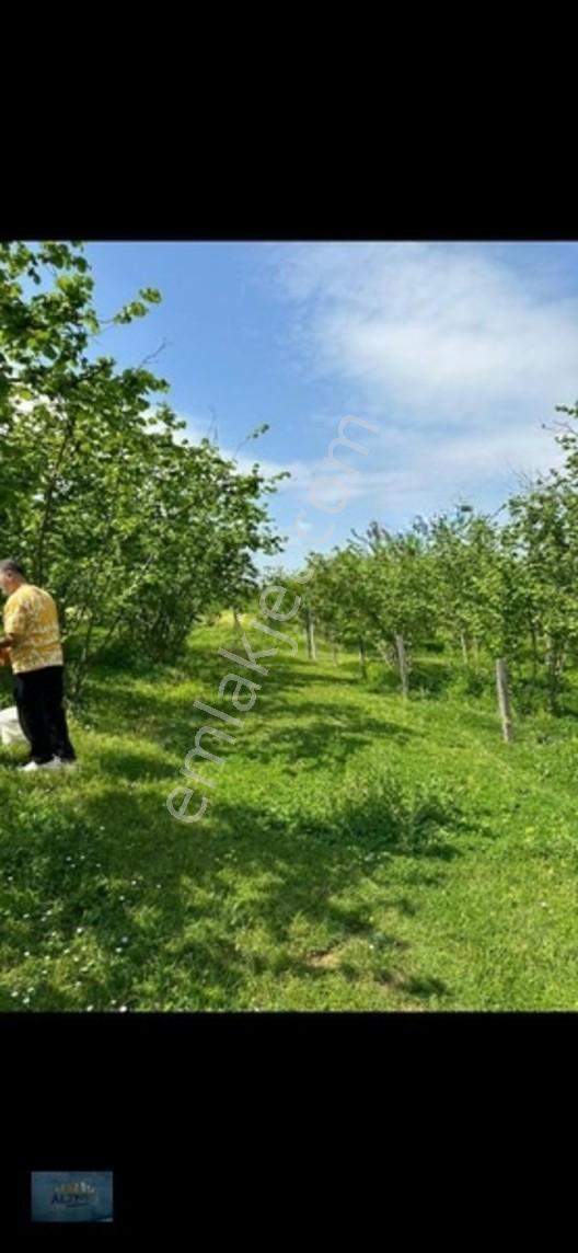 Elit Konum Müstakil Tapulu 510 Mt2 Arsa — fotoğraf 11