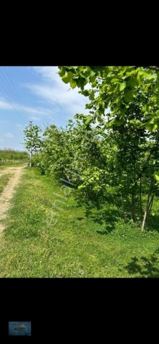Elit Konum Müstakil Tapulu 510 Mt2 Arsa — fotoğraf 13