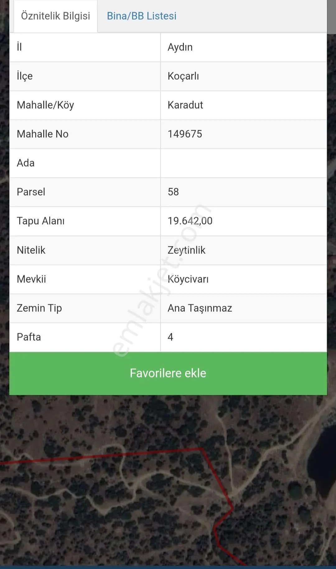 Koçarlı Karadut Mahallesi'nde Satılık 19.642 M² Zeytinlik — fotoğraf 2