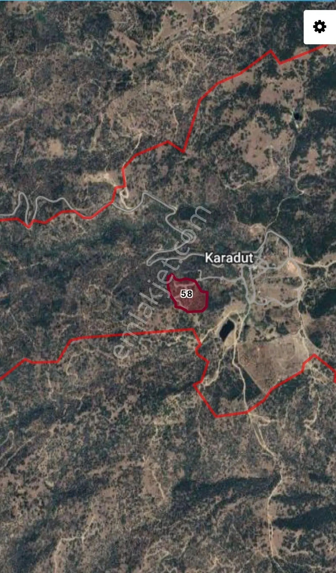 Koçarlı Karadut Mahallesi'nde Satılık 19.642 M² Zeytinlik — fotoğraf 4