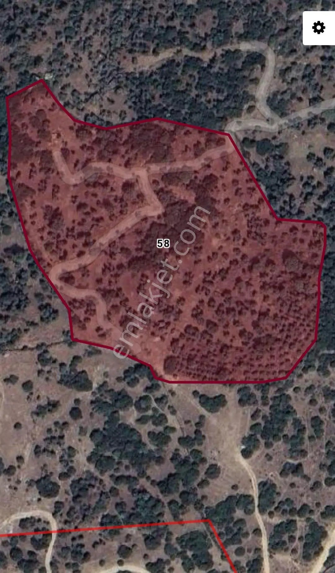 Koçarlı Karadut Mahallesi'nde Satılık 19.642 M² Zeytinlik — fotoğraf 5