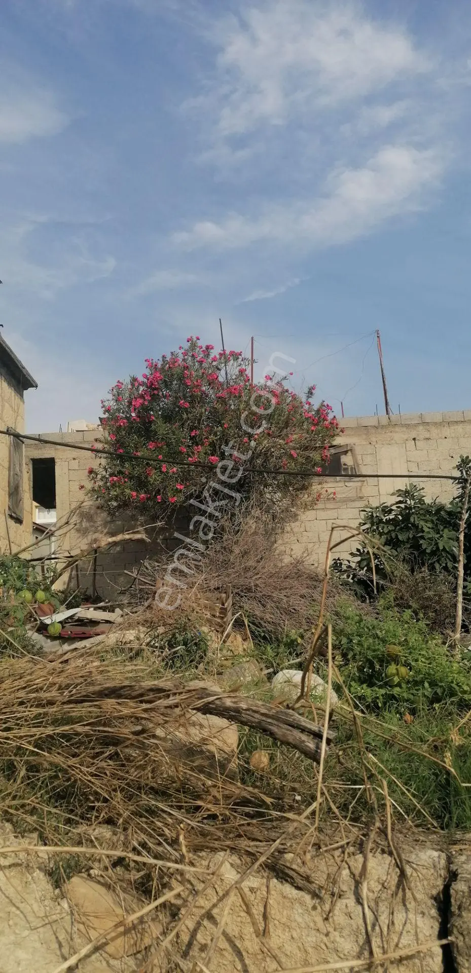 Fa Emlaktan Hebillide Satılık Köyiçi İmarlı Arsa — fotoğraf 2