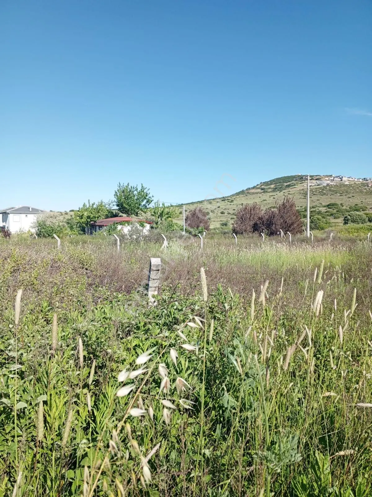 21 Foça Yeni Bağarasında Satılık Arsa