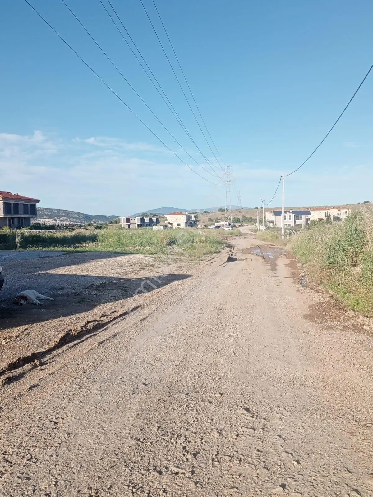 21 Foça Yeni Bağarasında Satılık Arsa — fotoğraf 11