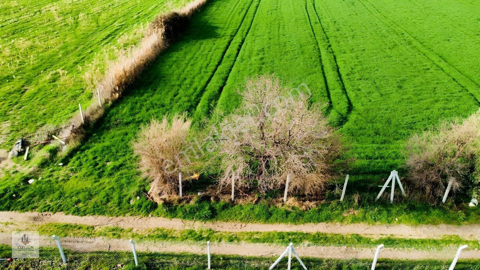 Özgünden Havaalanı Tarafında Yatırımlık Tarla — fotoğraf 2