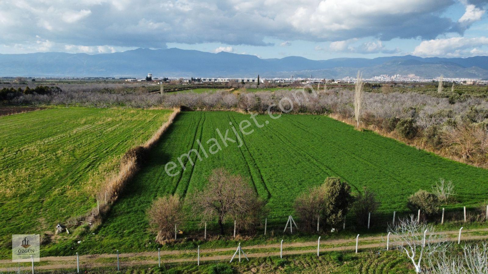 Özgünden Havaalanı Tarafında Yatırımlık Tarla — fotoğraf 3