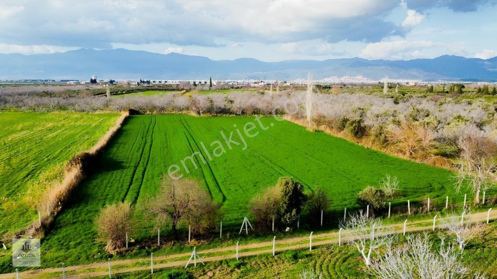 Özgünden Havaalanı Tarafında Yatırımlık Tarla — fotoğraf 4