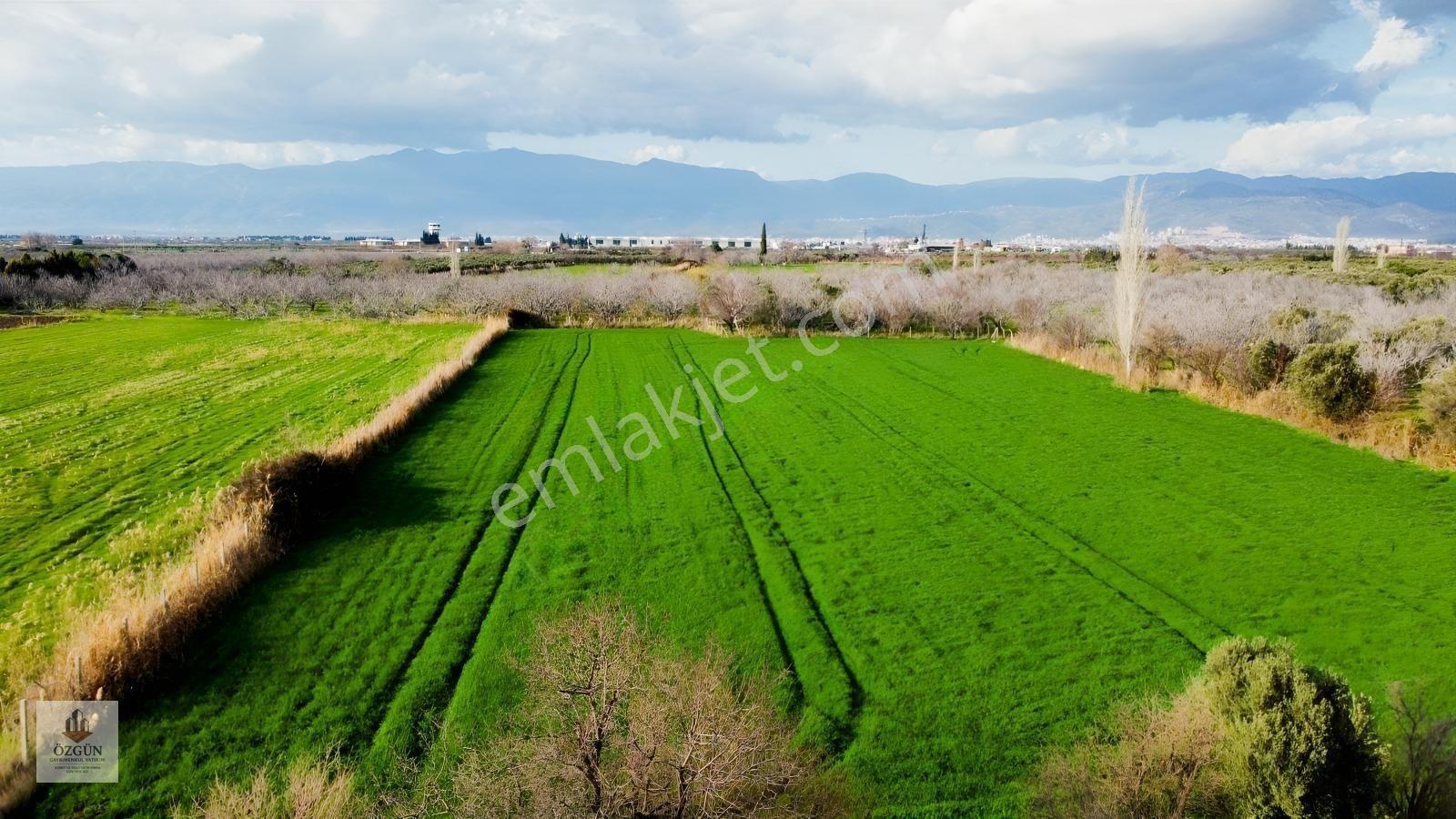 Özgünden Havaalanı Tarafında Yatırımlık Tarla — fotoğraf 6