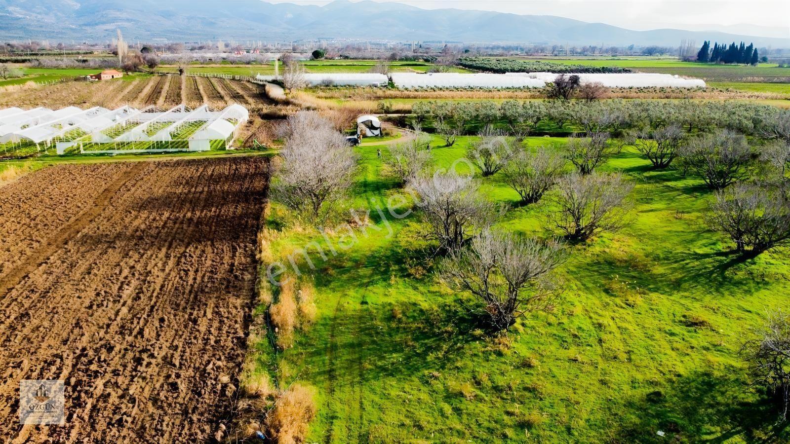 Özgünden Havaalanı Tarafında Yatırımlık Tarla — fotoğraf 7