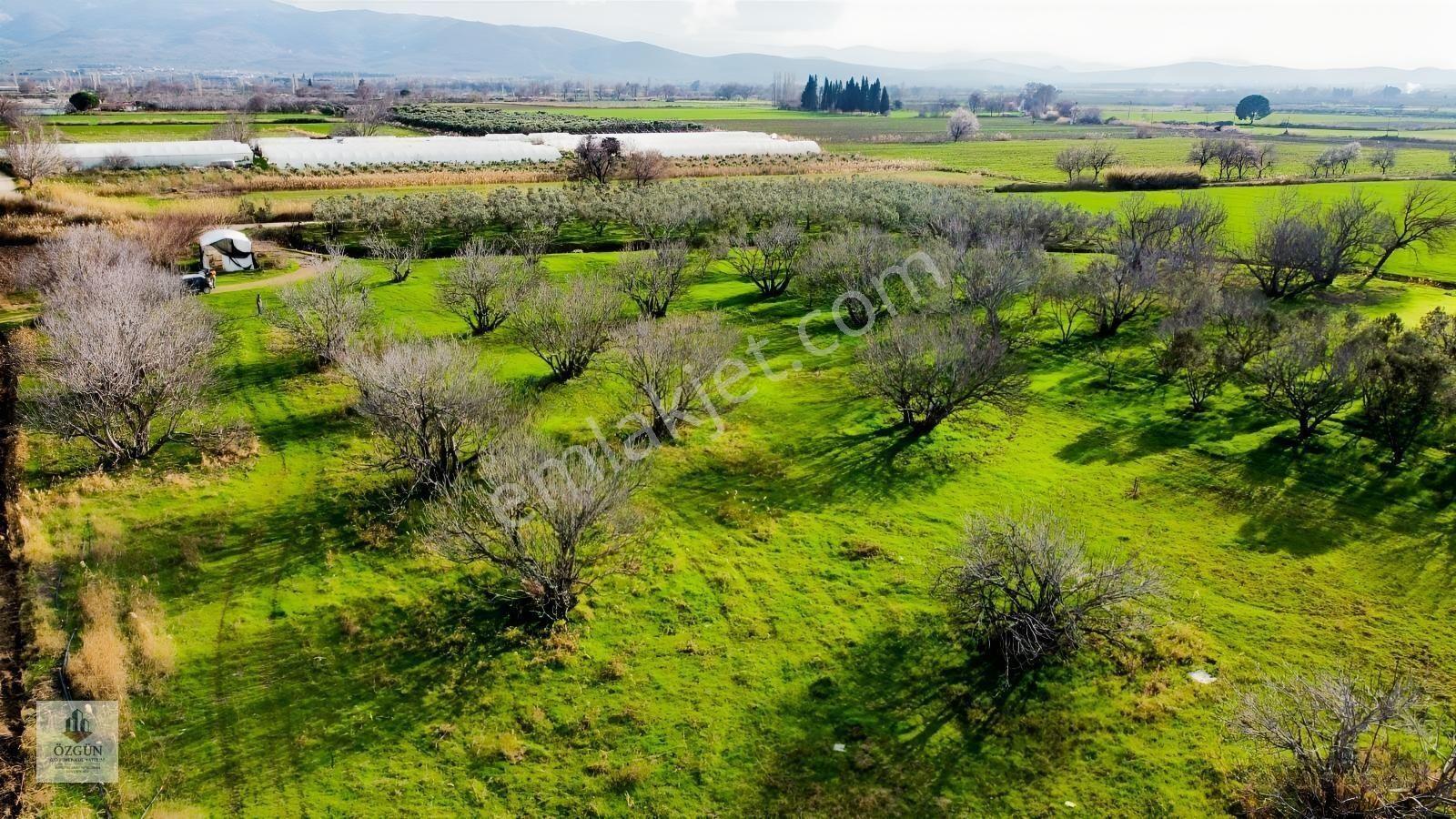 Özgünden Havaalanı Tarafında Yatırımlık Tarla — fotoğraf 8