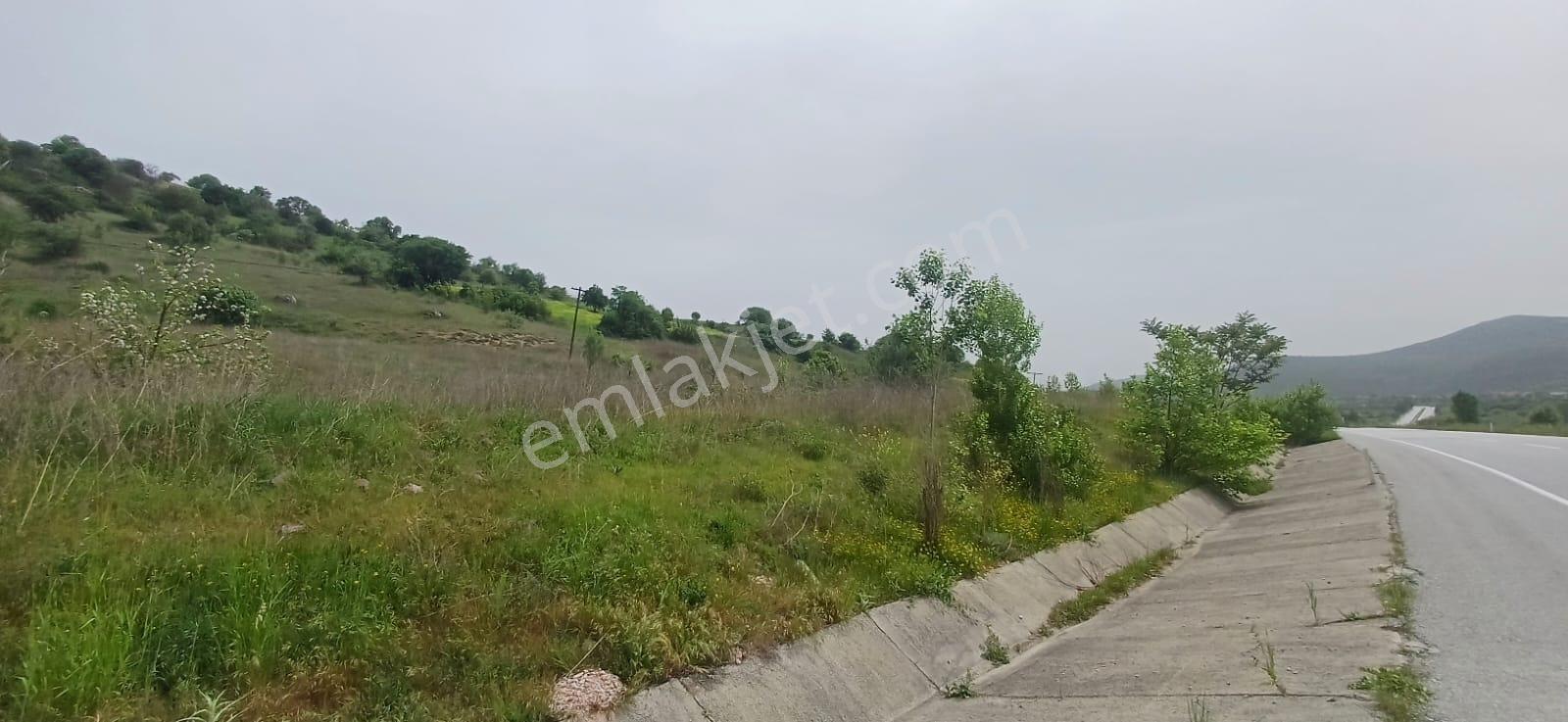 Elfi' Den Kütahya Yolu Cepheli Satılık 8650 M2 Tarla