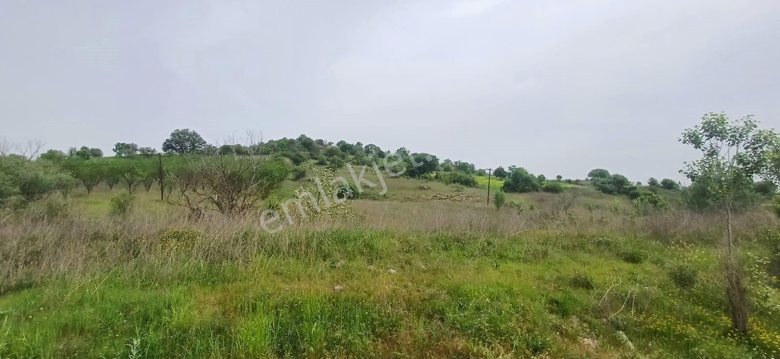 Elfi' Den Kütahya Yolu Cepheli Satılık 8650 M2 Tarla — fotoğraf 2