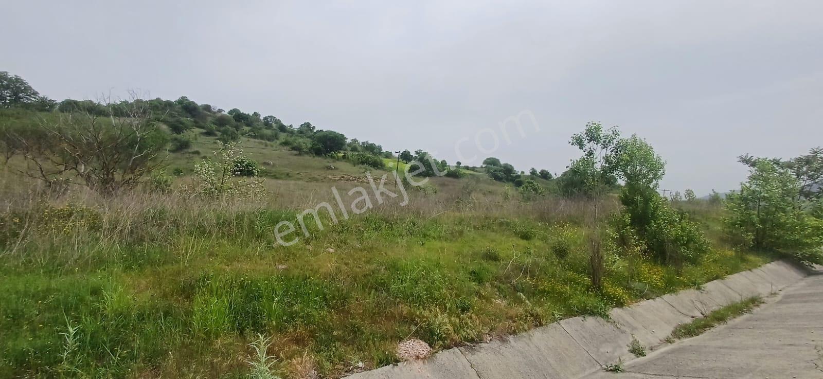Elfi' Den Kütahya Yolu Cepheli Satılık 8650 M2 Tarla — fotoğraf 3