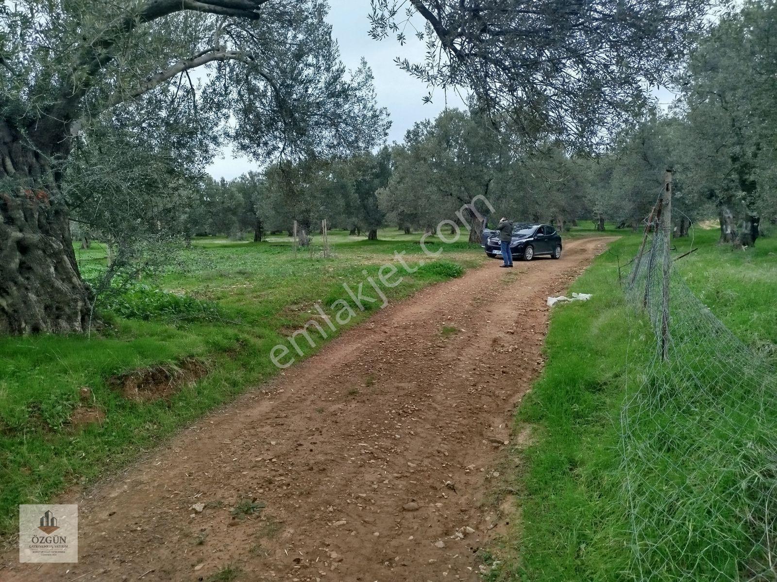 Özgünden Hobi Amaçlı Köy Kenarı 103 M2 Pelitköy — fotoğraf 2