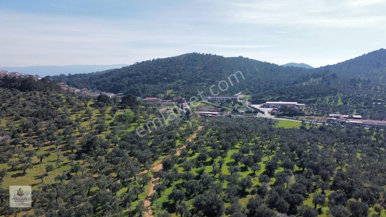 Özgünden Hobi Amaçlı Köy Kenarı 103 M2 Pelitköy — fotoğraf 3