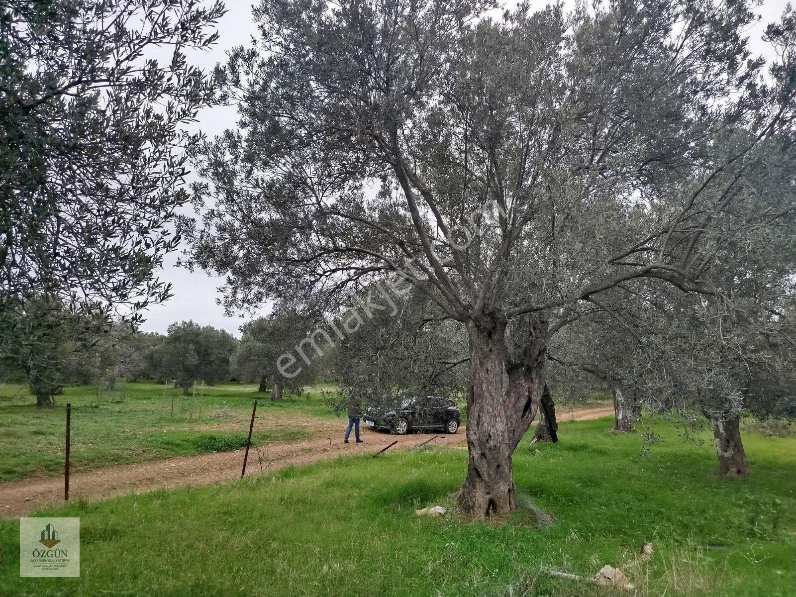 Özgünden Hobi Amaçlı Köy Kenarı 103 M2 Pelitköy — fotoğraf 4