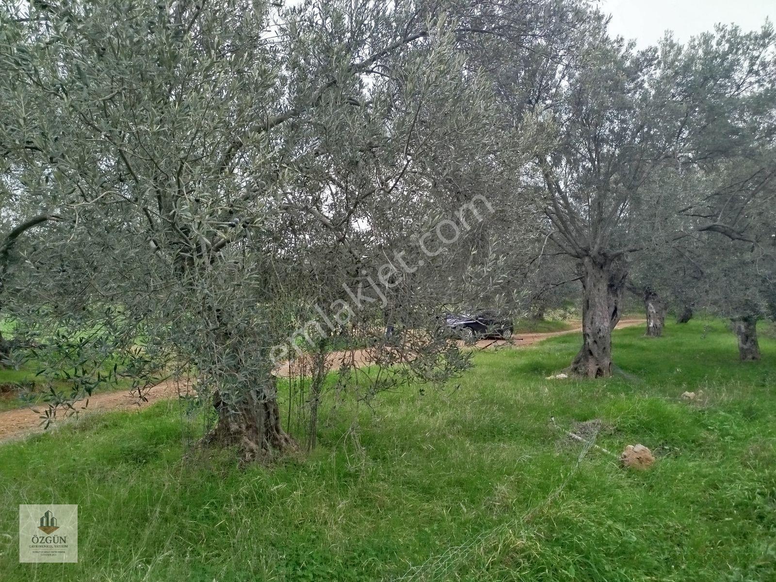 Özgünden Hobi Amaçlı Köy Kenarı 103 M2 Pelitköy — fotoğraf 6