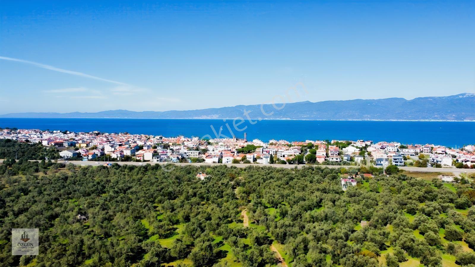 Özgünden İskele Üstünde Eşsiz Lokasyonlu 2666 M2 Yola Cepheli — fotoğraf 2