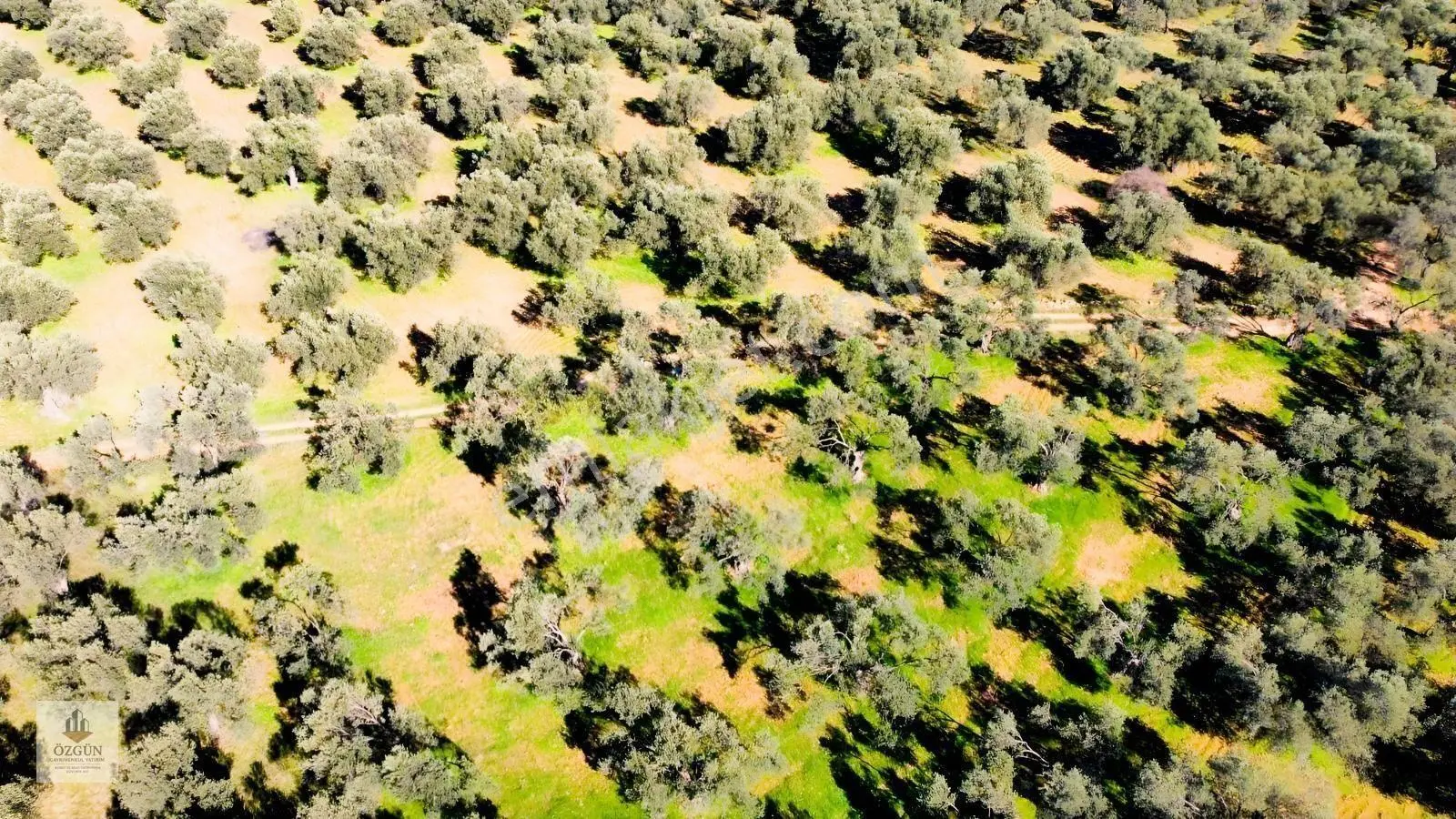 Özgünden İskele Üstünde Eşsiz Lokasyonlu 2666 M2 Yola Cepheli — fotoğraf 8