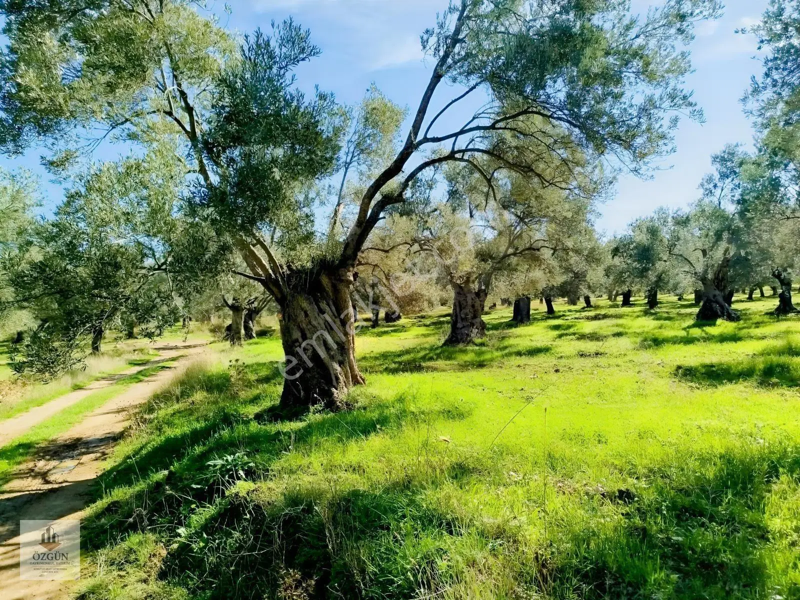 Özgünden İskele Üstünde Eşsiz Lokasyonlu 2666 M2 Yola Cepheli — fotoğraf 11