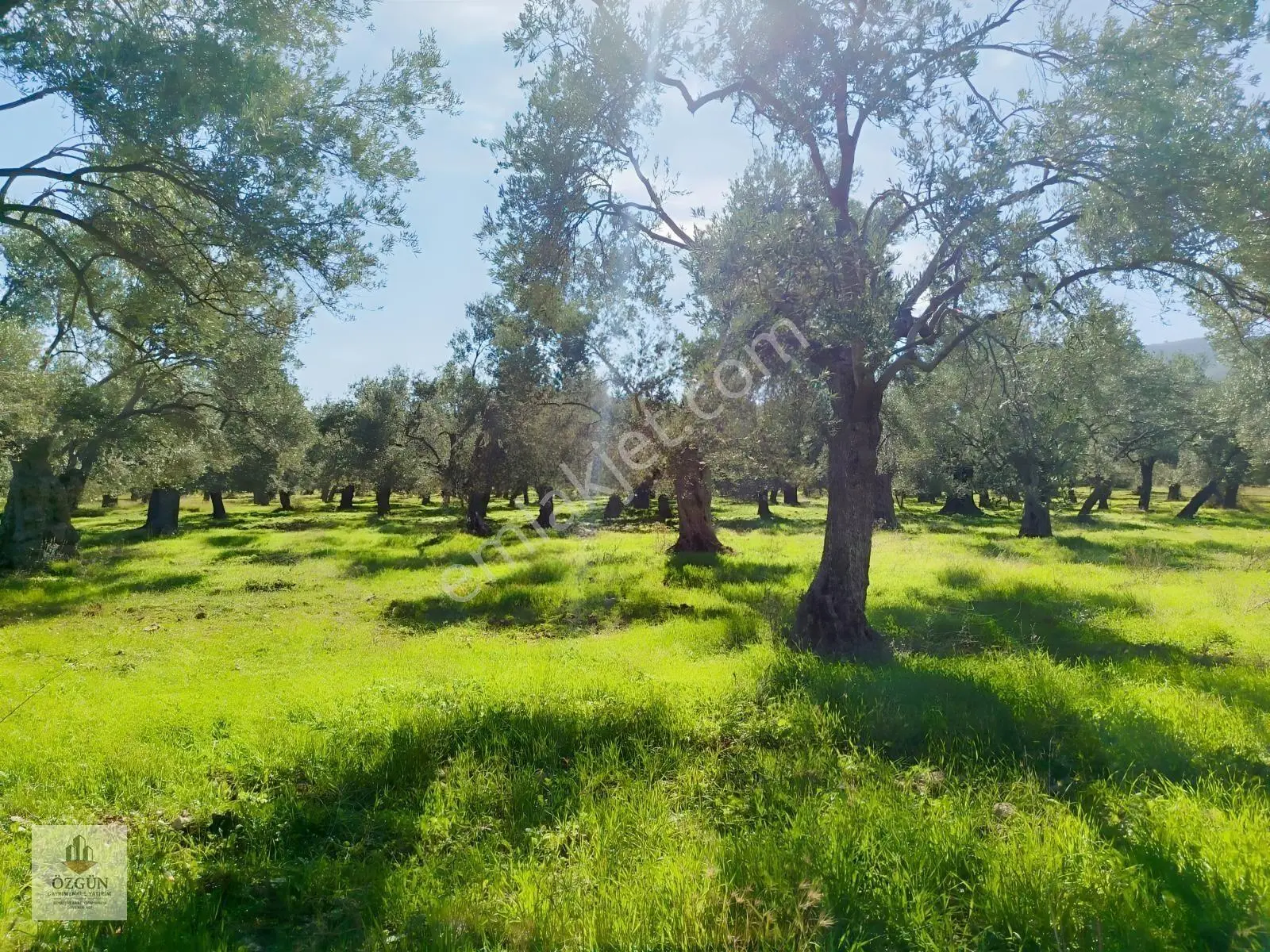 Özgünden İskele Üstünde Eşsiz Lokasyonlu 2666 M2 Yola Cepheli — fotoğraf 12