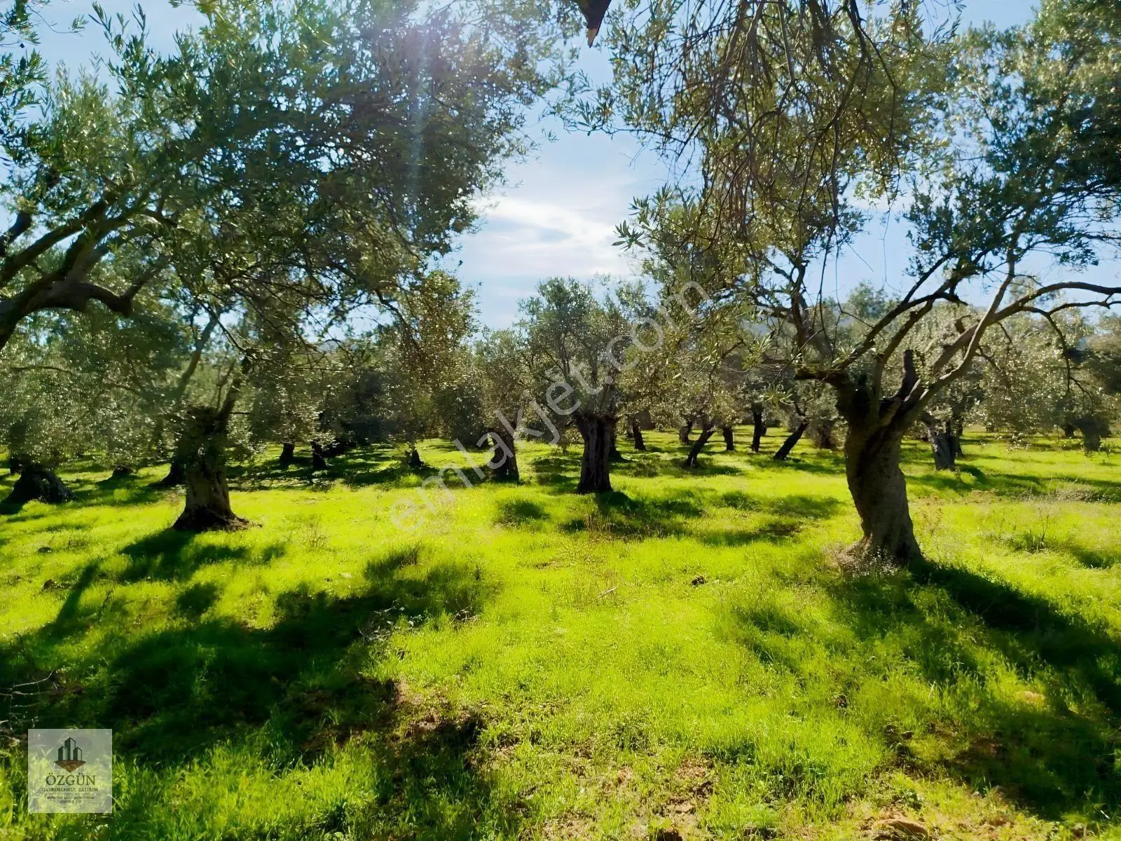 Özgünden İskele Üstünde Eşsiz Lokasyonlu 2666 M2 Yola Cepheli — fotoğraf 17