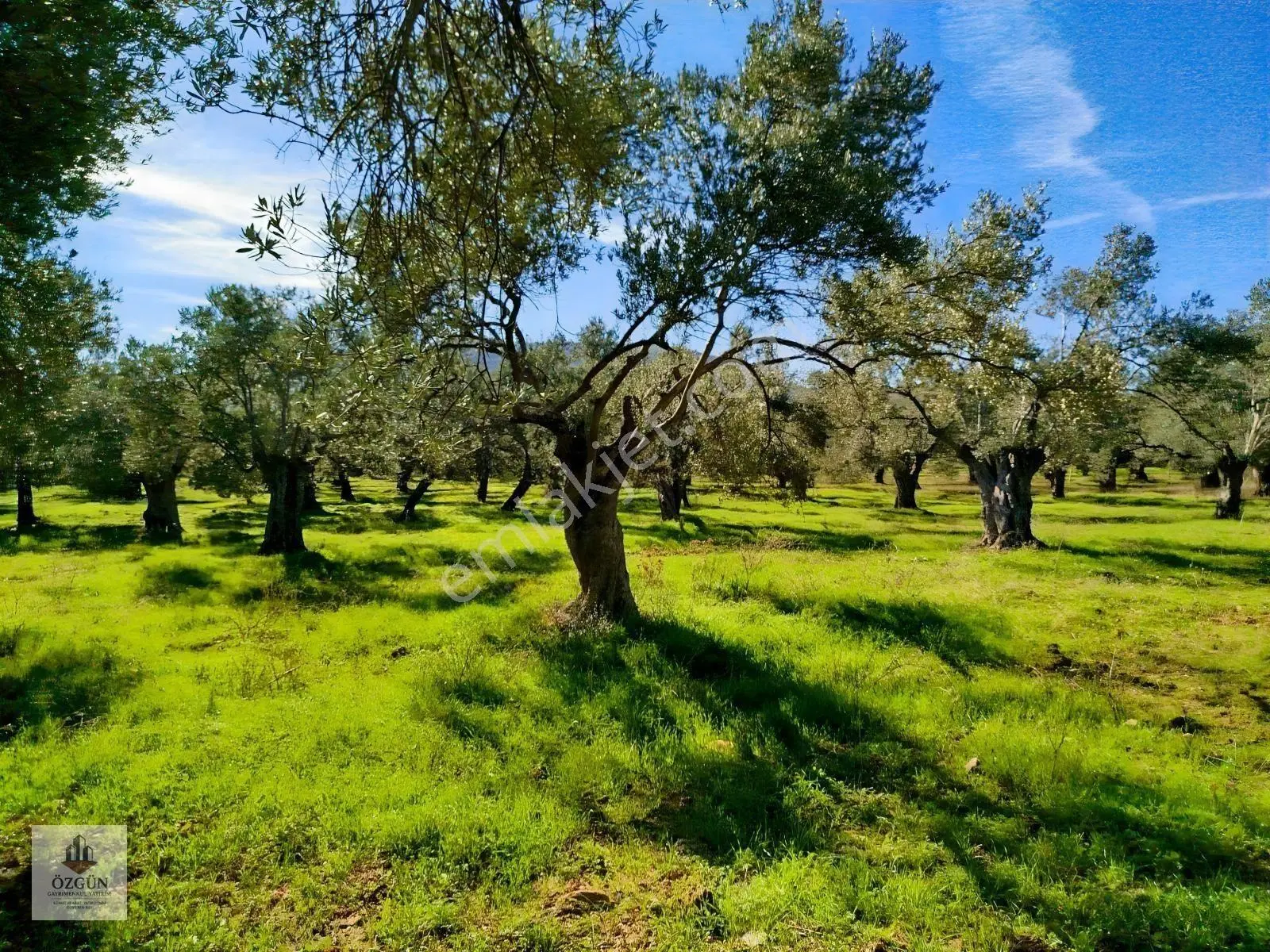 Özgünden İskele Üstünde Eşsiz Lokasyonlu 2666 M2 Yola Cepheli — fotoğraf 19