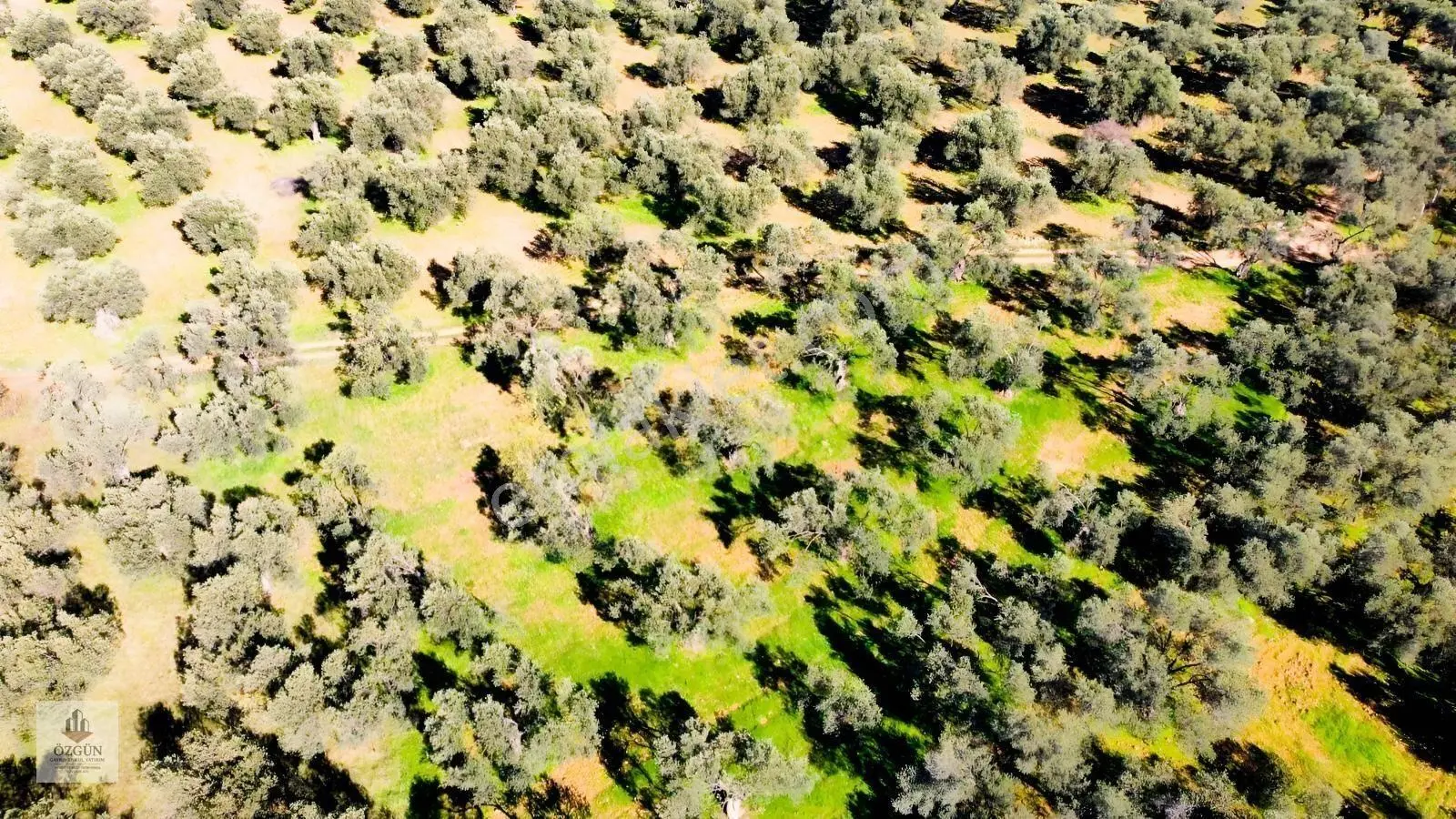 Özgünden İskele Üstünde Eşsiz Lokasyonlu 2666 M2 Yola Cepheli — fotoğraf 23