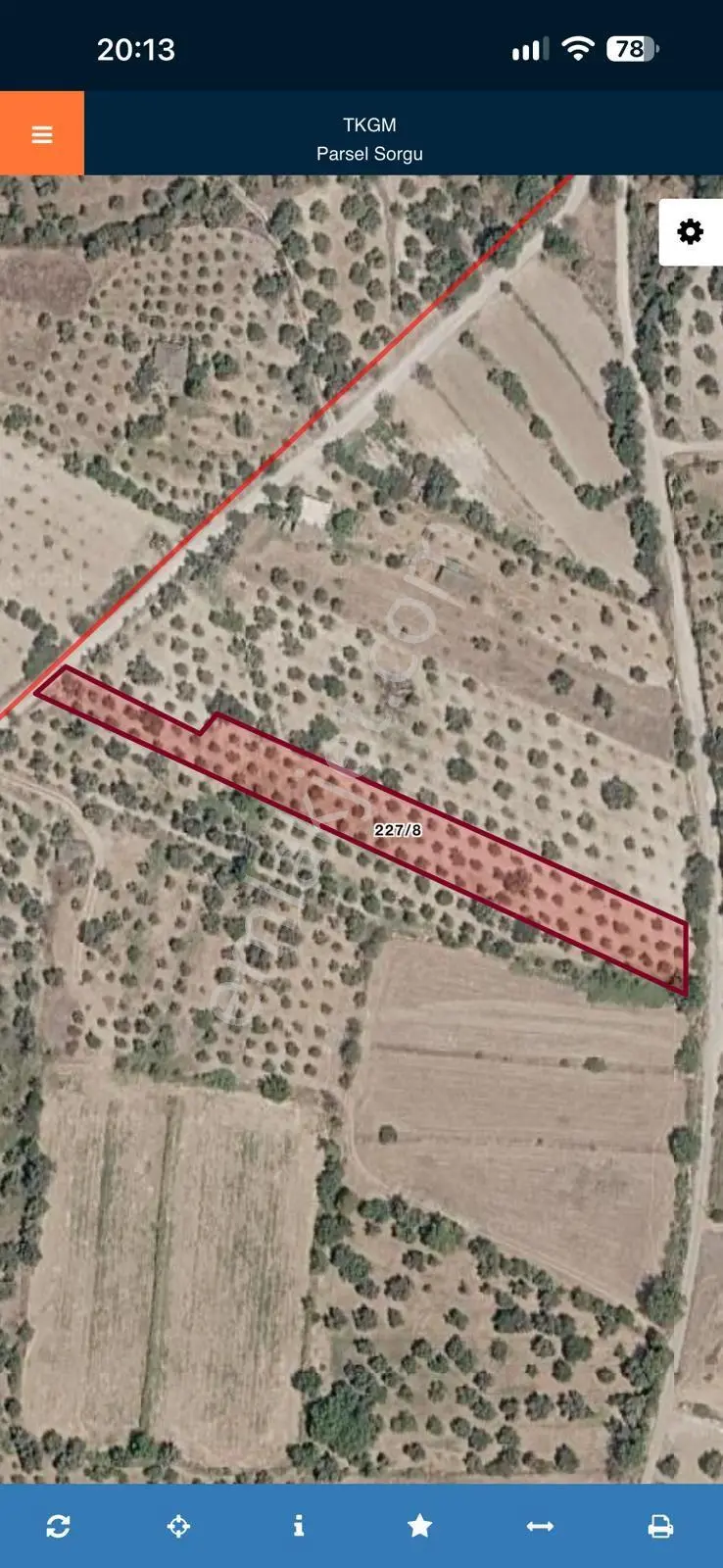 Bozdoğan Ziyaretli'de Satılık 3048 M² Verimli Zeytinlik — fotoğraf 23