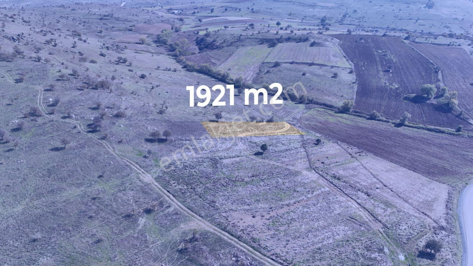 Balıkesir Karesi Karabeylerde Satılık Tarla — fotoğraf 2