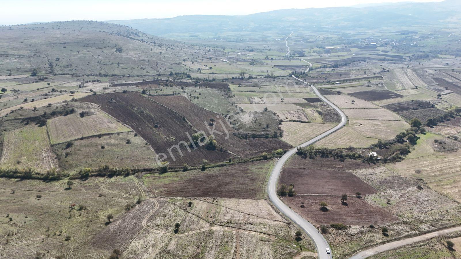 Balıkesir Karesi Karabeylerde Satılık Tarla — fotoğraf 10