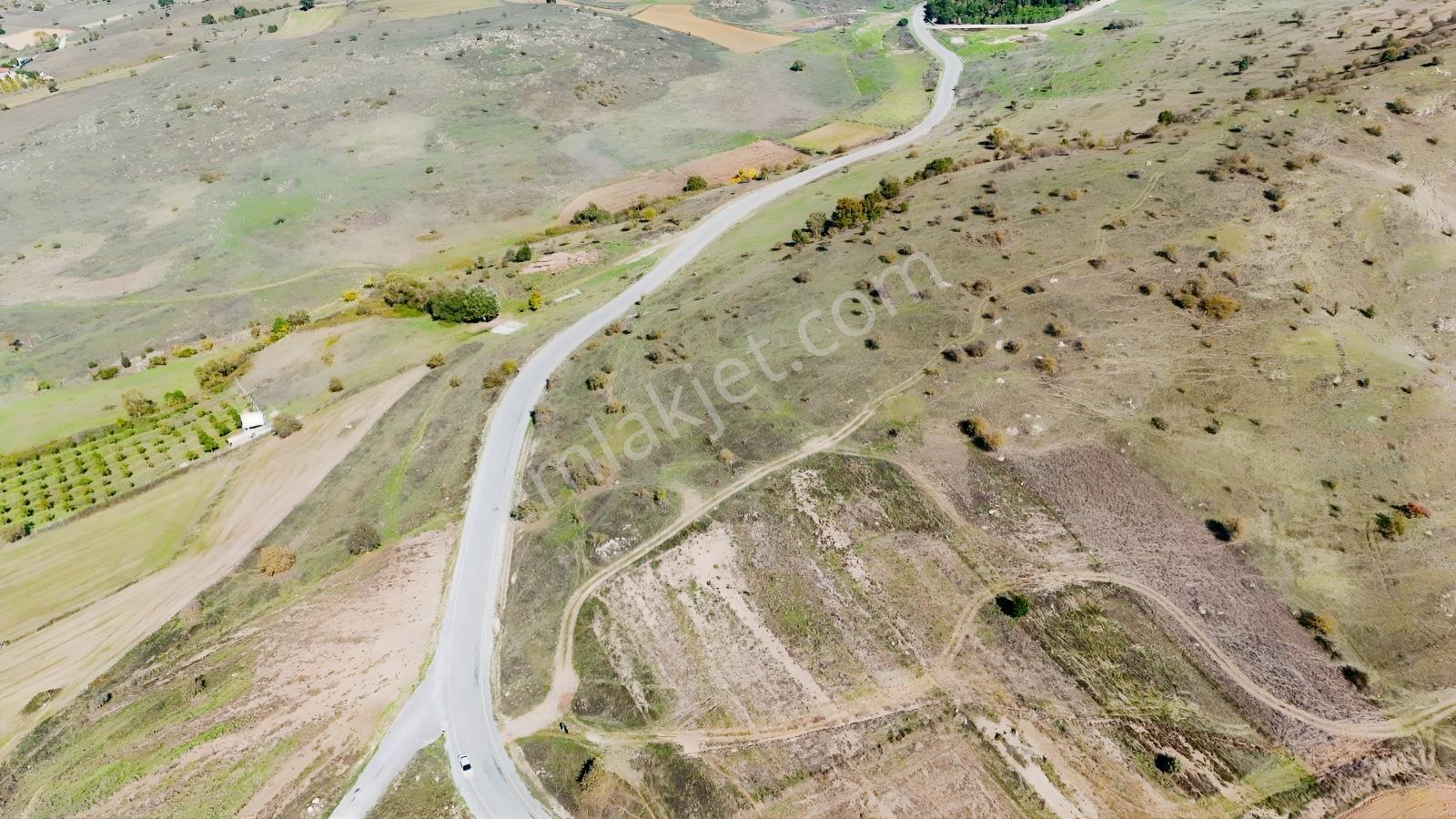 Balıkesir Karesi Karabeylerde Satılık Tarla — fotoğraf 13