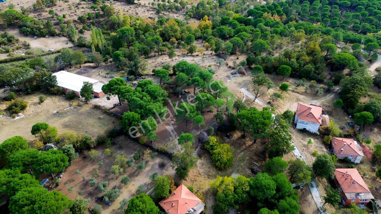 Bergama Kozak Karaveliler Mah.'De 2.434M2 Satılık Tarla