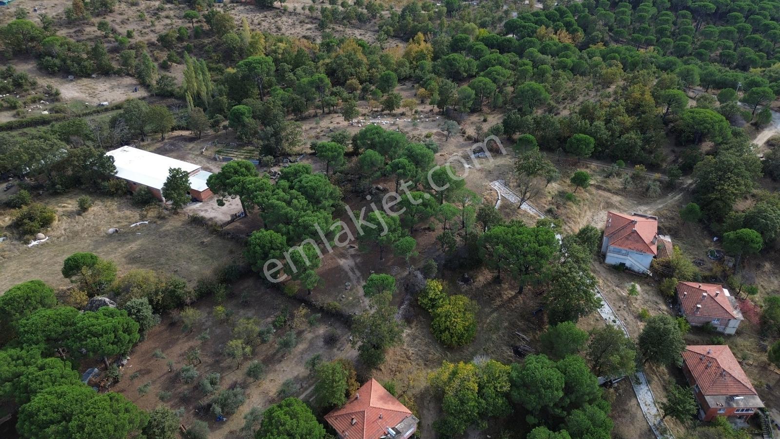 Bergama Kozak Karaveliler Mah.'de 2.434m2 Satılık Tarla — fotoğraf 2