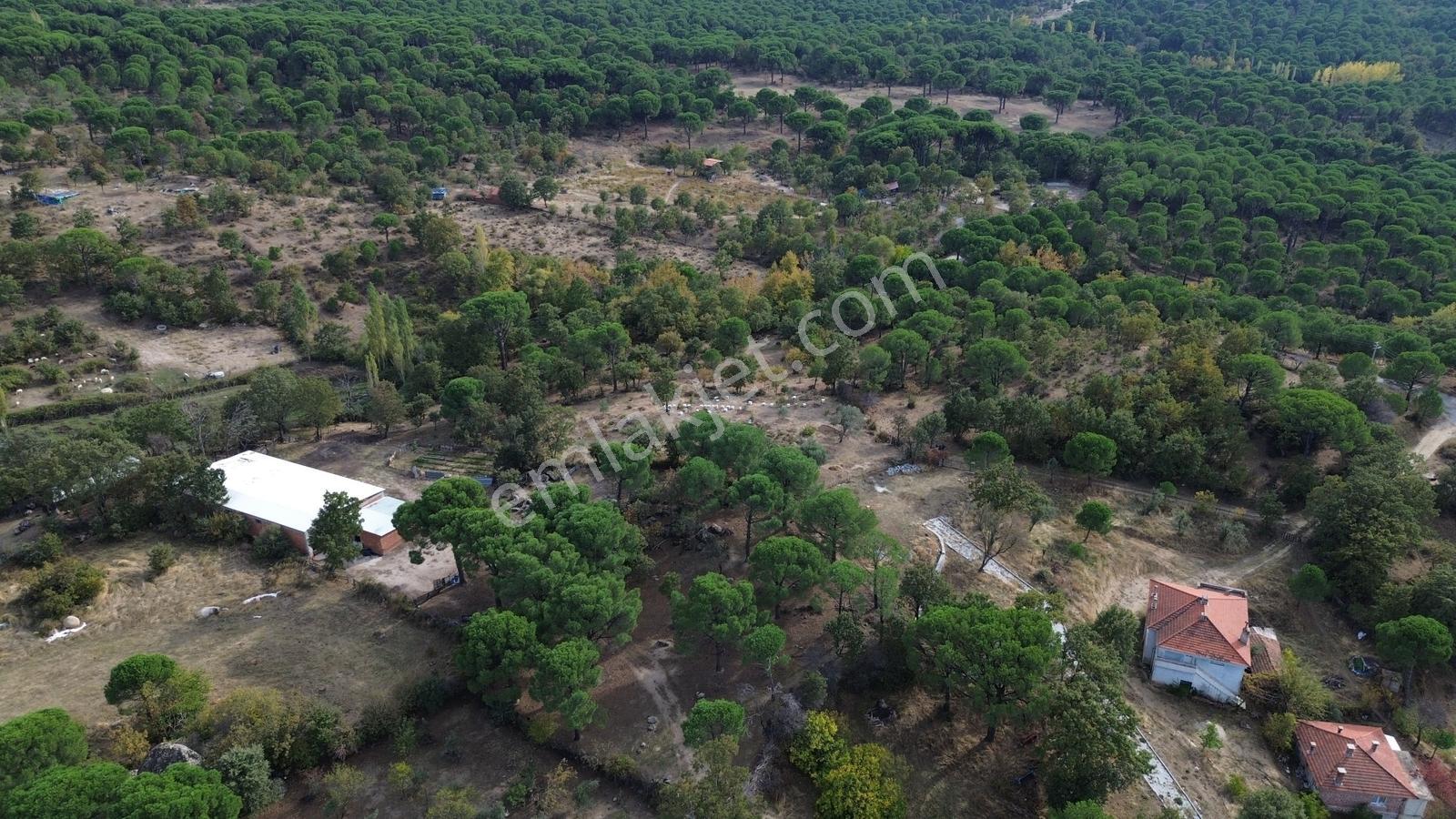 Bergama Kozak Karaveliler Mah.'de 2.434m2 Satılık Tarla — fotoğraf 3
