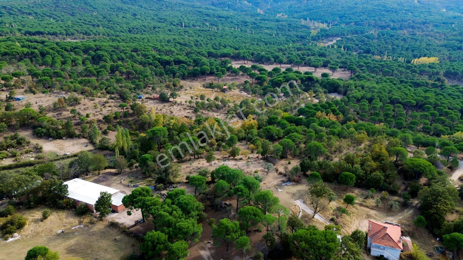 Bergama Kozak Karaveliler Mah.'de 2.434m2 Satılık Tarla — fotoğraf 4