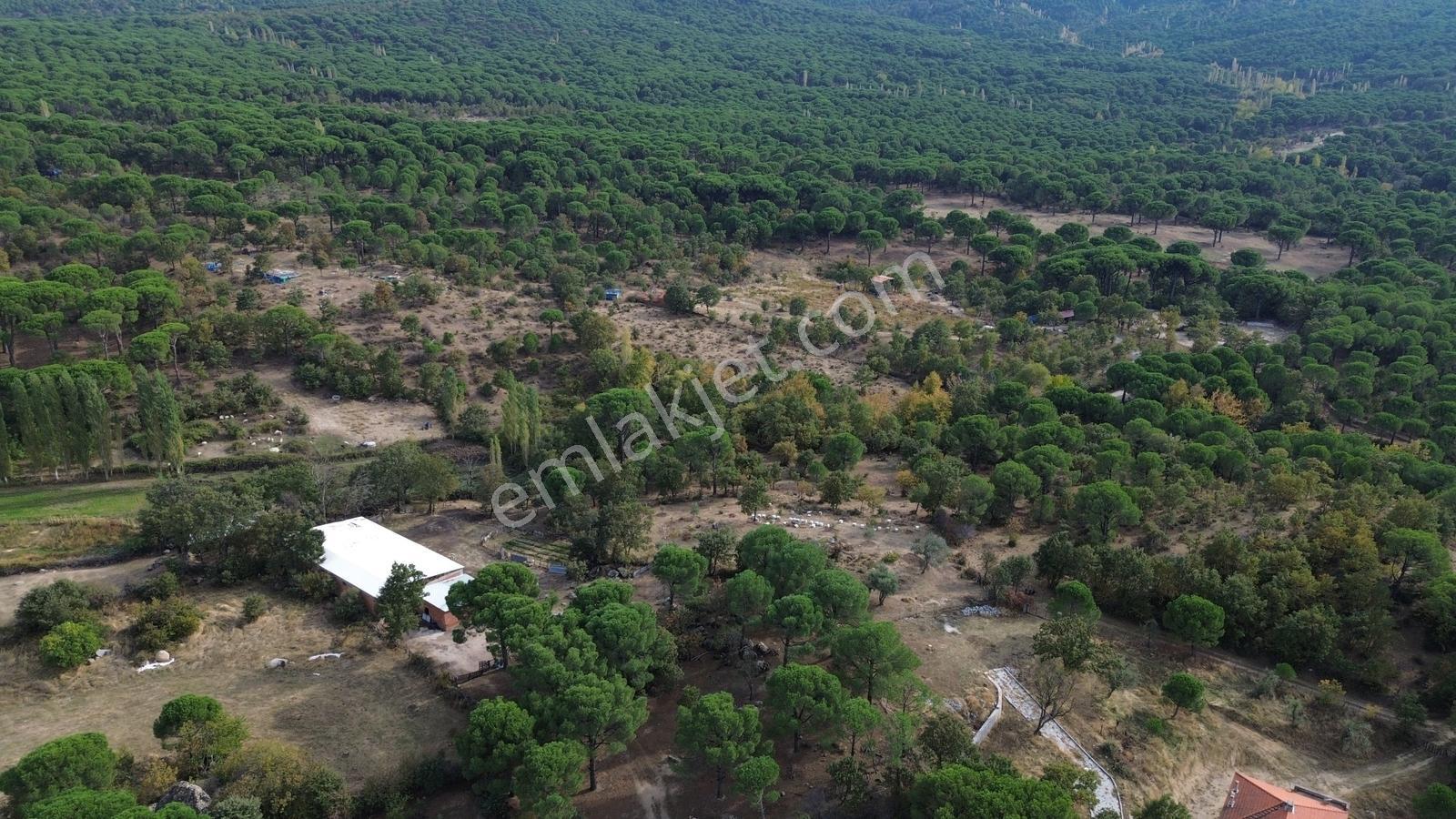 Bergama Kozak Karaveliler Mah.'de 2.434m2 Satılık Tarla — fotoğraf 5